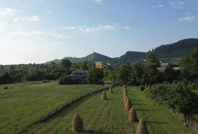 Teren de 10304 mp, în Slatina - 9