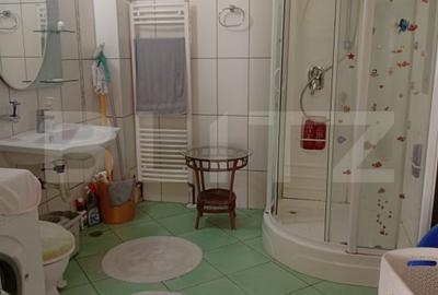 Casa superba in Talmacel, cu curte verde si priveliste panoramica spre munti - 13