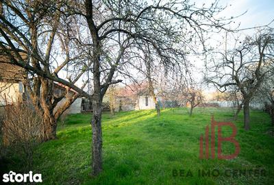 Casă cu 3 camere cu Teren 1018 Mp în Pârneava - 2