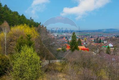 Teren Construcții intravilan de 857 mp, în Nord-Est - 11