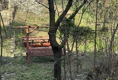 Apartament cu 2 camere decomandat în Exterior Vest - 4