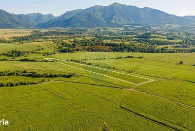 Spațiu comercial, în Tohanu Nou - 10
