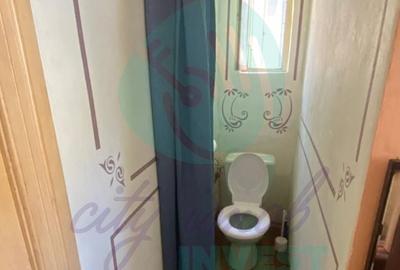 Vilă în Cotroceni | Curte proprie | Gradina Botanică-Palat-Carol Davilla - 8