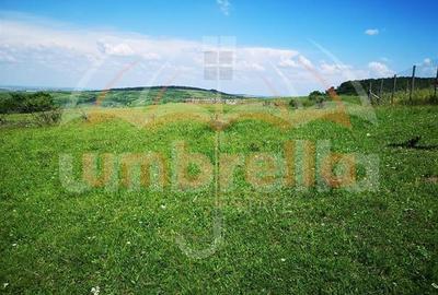 Teren Construcții intravilan de 1000 mp, în Sopor - 1