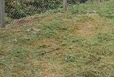 Casă cu 4 camere în Budănești - 1