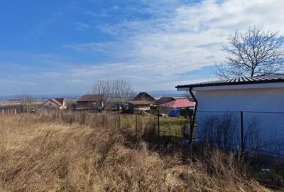 Teren de 1494 mp, în Fântânele (Hemeiuș) - 3