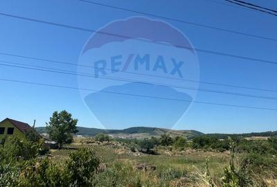 Vând Teren Dej / Strada Dumbrava Rosie - 3