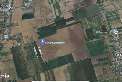 Teren de 5000 mp, în Filipeștii de Târg - 6