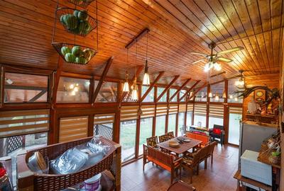 Casă individuală cu 5 camere cu Canalizare în Bucium - 28