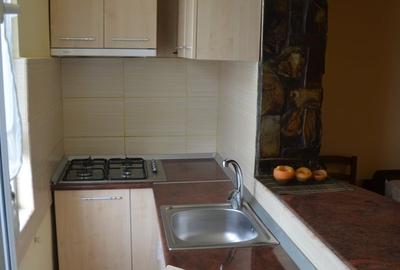 Apartament cu 3 camere semidecomandat, mobilat în Aradului - 4
