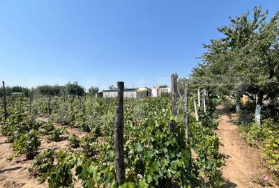 Teren 1021 mp, zona Hanul Doctorului - 2