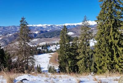 Inchiriez apartament 2 camere situat in Poiana Bra?ov - 1