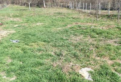 Casă cu 2 camere în Cergău - 6