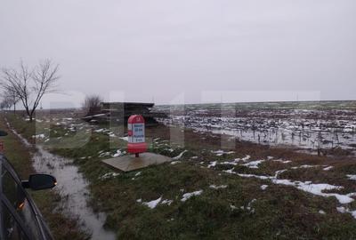 Teren Construcții intravilan de 17000 mp, în Ghercești - 1