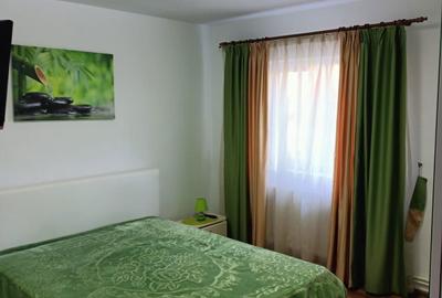 Apartament cu 2 camere semidecomandat în Valea Lupului - 1