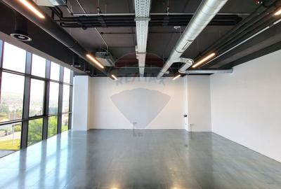 Birou, de 57 mp, în Gruia - 4