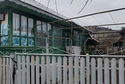 Casă cu 3 camere în Dobrețu - 1