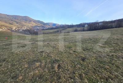 Teren de 16667 mp, în Abrud-Sat - 5