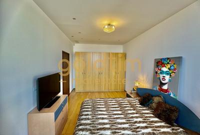 Apartament cu 4 camere decomandat, mobilat în Iancu Nicolae - 20