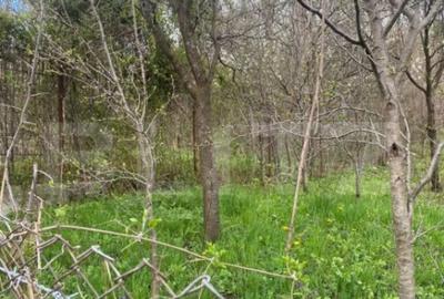 Teren de 784 mp, în Nistorești - 2