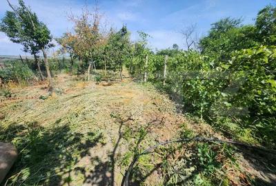 Casa individuala cu 4 camere,150 mp utili,1700 mp teren,Blaj Casa individuala cu 4 camere,150 mp utili,1700 mp teren,Blaj - 14