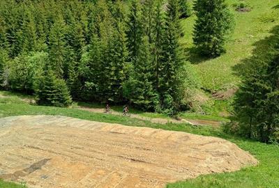Teren de 3100 mp, în Muntele Băișorii - 4