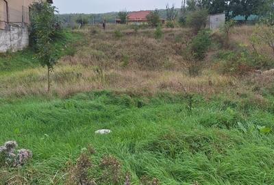 Spațiu comercial, în Tomești - 13