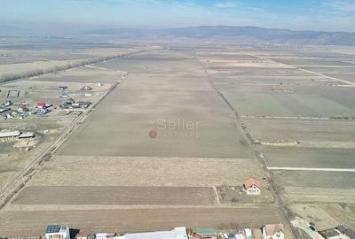 Teren Extravilan, P.U.Z. inceput - 11