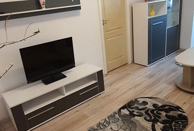 Apartament cu 2 camere semidecomandat în Valea Muscelului - 2