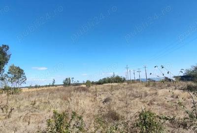 Teren de 2441 mp, în Uliești - 4