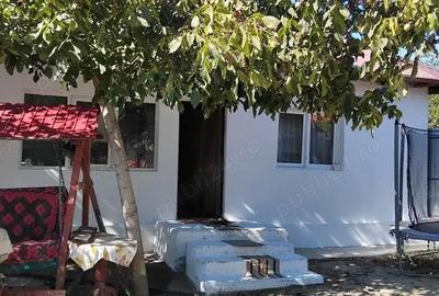 Casă cu 4 camere cu Teren 10000 Mp în Munteni - 9