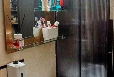 Apartament cu 2 camere decomandat în Ostroveni - 3