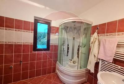 Casă cu 6 camere cu Teren 3141 Mp în Ploștina - 1