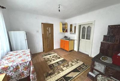 Casa solida de vanzare in Bordenii Mari - 20