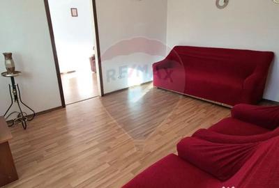 Apartament cu 2 camere semidecomandat, mobilat în Gemenii - 17