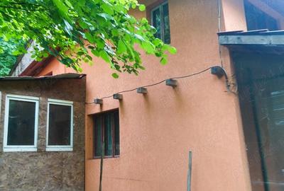 Casă cu 3 camere în Bumbești-Jiu - 7