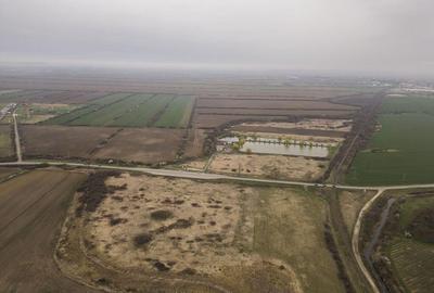 Teren extravilan in Ineu - 34