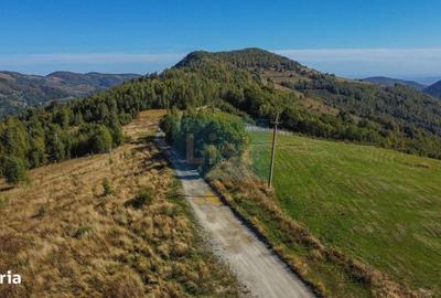 Teren de 1000 mp, în Băișoara - 5