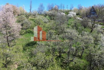 Teren Construcții intravilan de 2500 mp, în Bran - 7