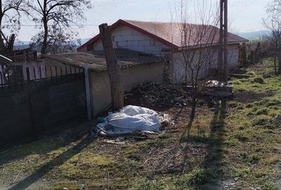 Casă cu 3 camere cu Teren 48000 Mp în Grădina - 4