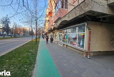 Spațiu comercial, de 145 mp, în Cetate - 3
