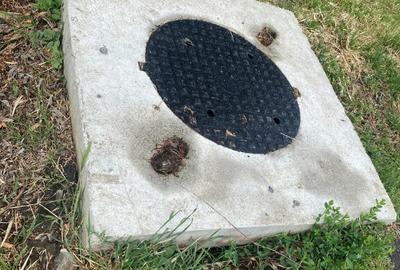 Islaz - Branesti - teren 1374mp - canalizare - gaze - curent - asfalt - 8