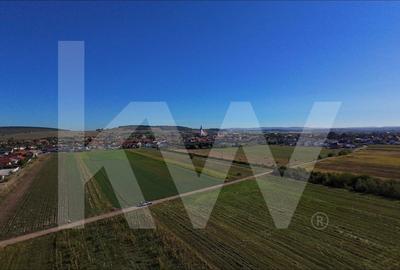 Teren de Vanzare - 18.459 mp cu Potential de Investitie! Cristian- Sibiu - 11