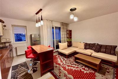 Studio de inchiriat AlphaVille- Carpatilor Brasov - 9