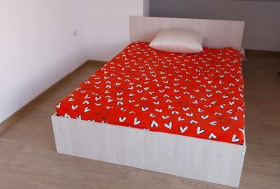 Apartament cu 3 camere decomandat în Cetate - 4