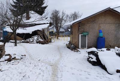 Casă individuală cu 2 camere cu Teren 3300 Mp în Bobolia - 6