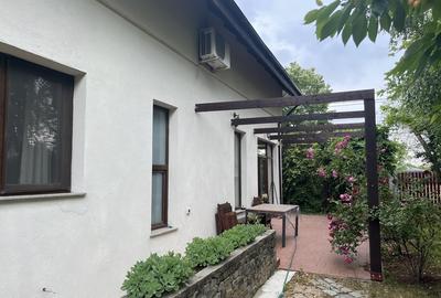 Mogosoaia, zona Martha Bibescu - 4