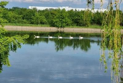 Casă individuală cu 4 camere cu Canalizare în Central - 44