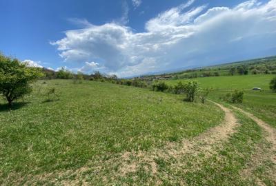 Teren de 146100 mp, în Hălmeag