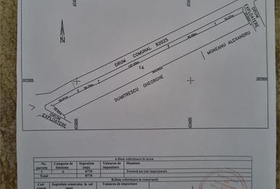 Teren de 7000 mp, în Băiculești - 10